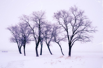 Retro style image of snowy trees