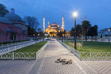 Sultanahmet Blue Mosque