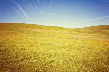 Retro style photo of summer meadow