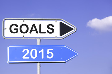goals 2015