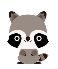 raccoon