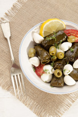 stuffed grape leaves and mozzarella balls