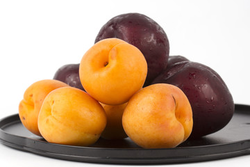 Apricot and Prune on the tray
