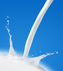 Fresh Milk Splash