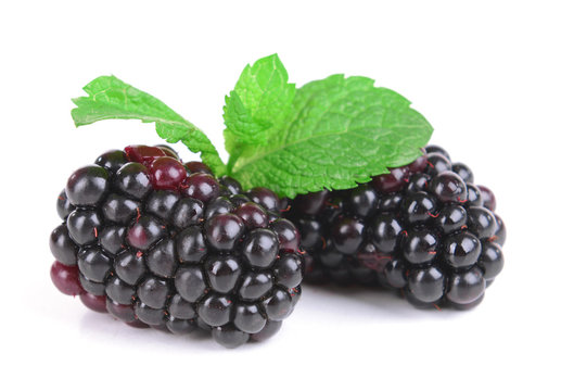 Delicious blackberries isolate on white