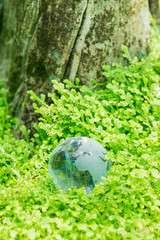 Obraz na płótnie Canvas Glass globe in green grass