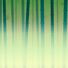 background bamboo