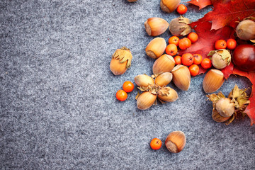 Obraz premium Nuts and berrys on grey autumn background