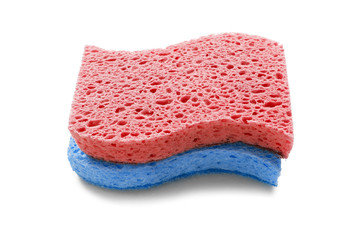 Sponges