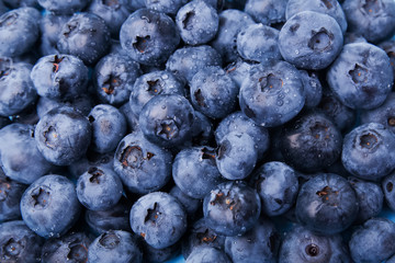 Fresh blueberries