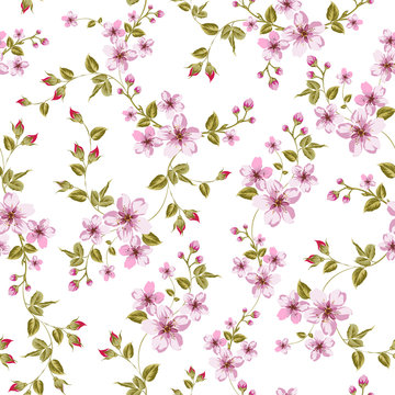 Cherry blossom seamless pattern.