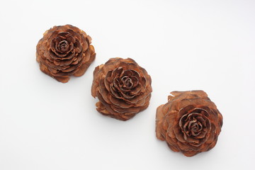 Fleur de cédre