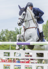 Jinete saltando obstáculo