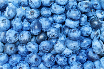  blueberries