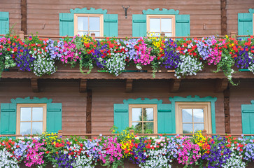 wooden balcony decorated with different colorful flowers - 68431392