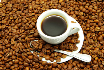 coffee