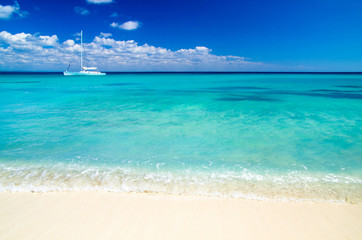 Fototapeta na wymiar Tropical landscape - beautiful beach with blue ocean and clear sky 