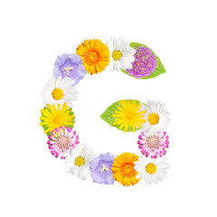 Blumenbuchstabe G