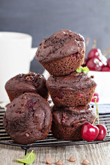 Chocolate muffins with cherry