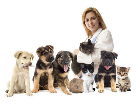 veterinarian and Pets