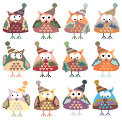 owls in winter hats colored vector