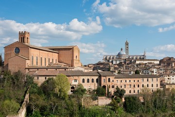 Fototapeta premium Siena
