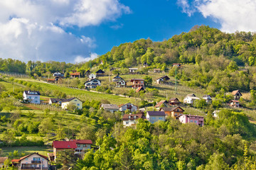 Obraz premium Zagorje hills vineyards and cottages
