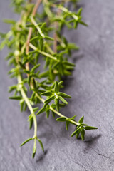 Bunch of fresh thyme 