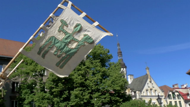 A medieval flag with an embroidered viking on it GH4 4K UHD