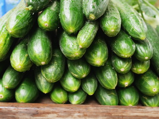 cucumber market organic