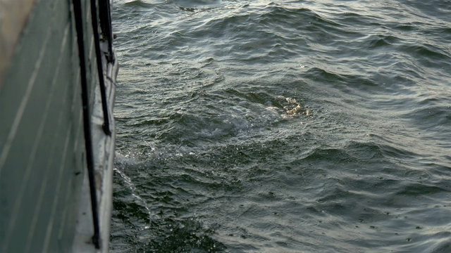 Sea water is waving and bilging with the big ship GH4 4K UHD