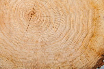 Naklejka premium close-up wooden cut texture