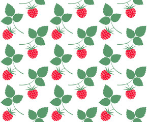 Raspberries. Pattern