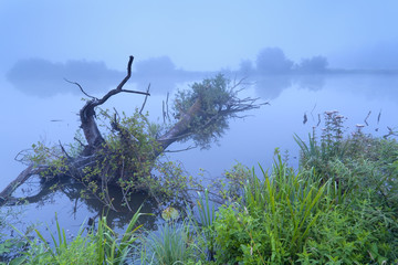 misty morning on river