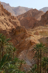 Fototapeta na wymiar Famous Mountain oasis Chebika in Tunisia, Northern Africa