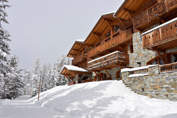 Ski resort hotel in the snow