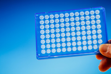 96 well PCR plate.