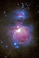 The great Orion Nebulae