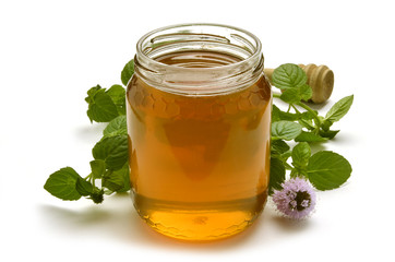 Mentha Menta Mint Minzen Menthe Mięta Мята Nane נענע © Comugnero Silvana