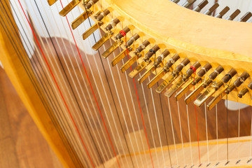 Celtic harp view from top