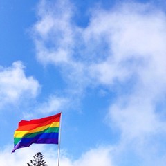 Regenbogenfahne der Schwulenbewegung