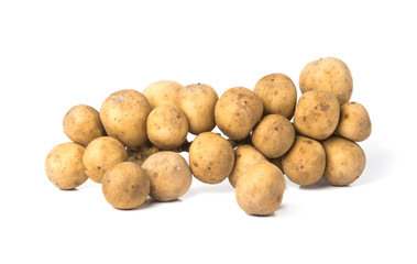 lansium demesticum on isolated