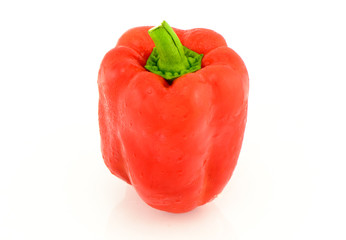 red sweet pepper on white background
