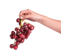 Hand holding grapes isolated on white background