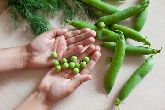 Eating vegetables, child's kid's hands holding peas. Cooking at