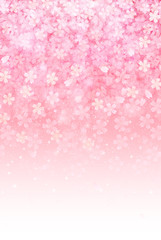 桜　年賀状　背景