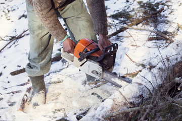 man without the necessary protection cuts tree with chainsaw