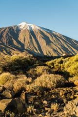 Vulkan Teide auf Teneriffa