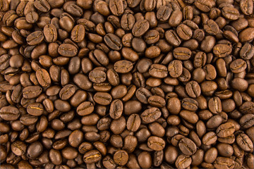Coffee beans closeup background