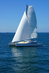 Fototapeta premium voilier
